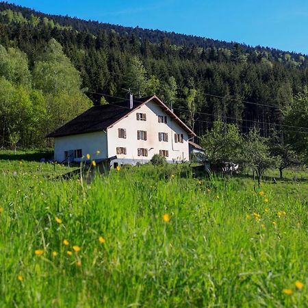 Le Guardabarranco Saulxures-sur-Moselotte Esterno foto